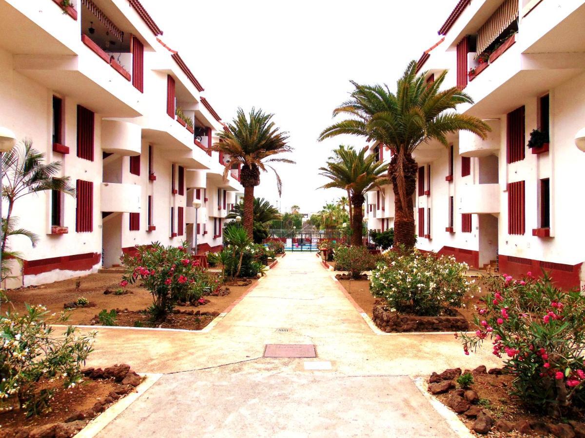 Apartment Altemar In Las Americas Playa de las Américas Eksteriør billede